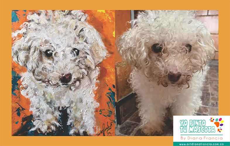 Retratos de mascotas por Diana Francia
