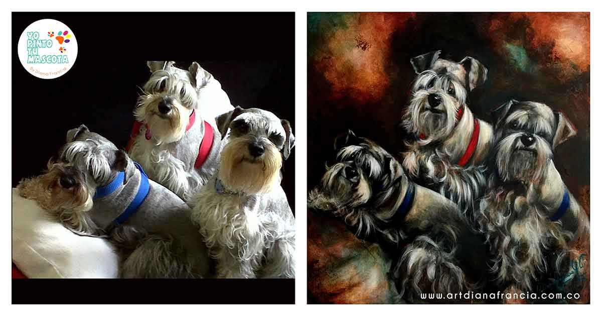 Retratos de mascotas por Diana Francia