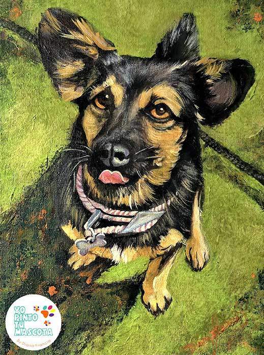 custom pet portraits By Diana Francia blanco