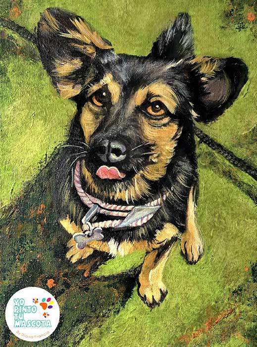 Retratos de perros personalizados y mascotas por Diana Francia