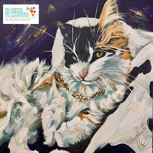 retratos de gatos de mascotas a mano por diana francia