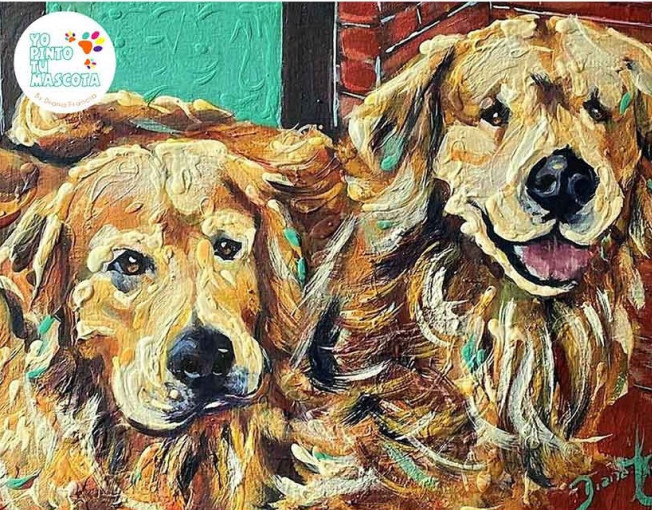 Retratos de mascotas por Diana Francia golden retriever
