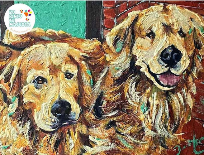 Retratos de mascotas por Diana Francia golden retriever