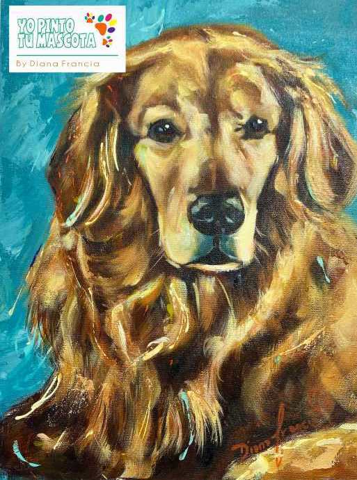 Pet Portraits by Diana Francia I paint your pet