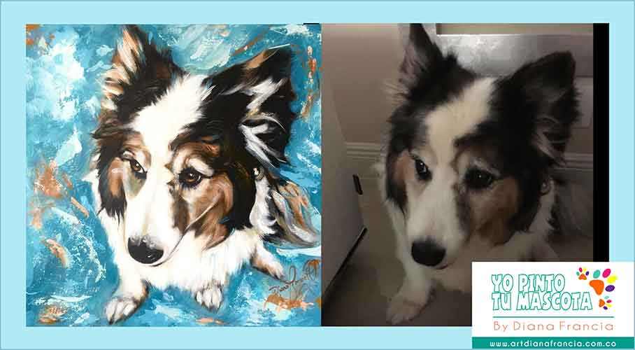 Retratos de mascotas y perros por Diana Francia