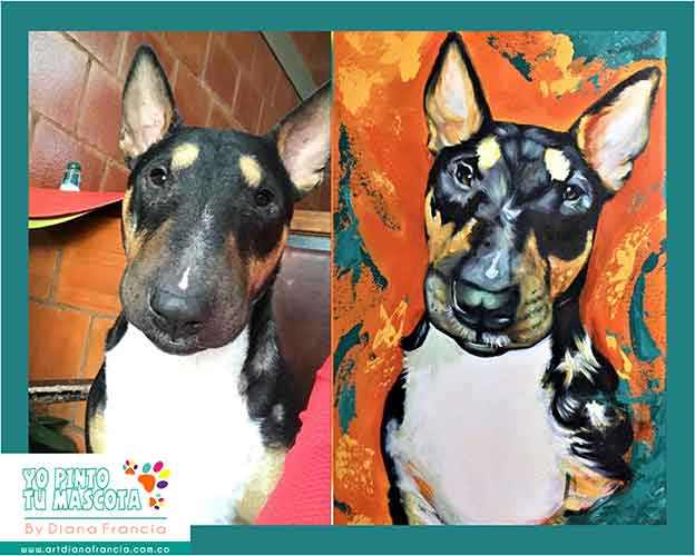Retratos de mascotas y perros por Diana Francia