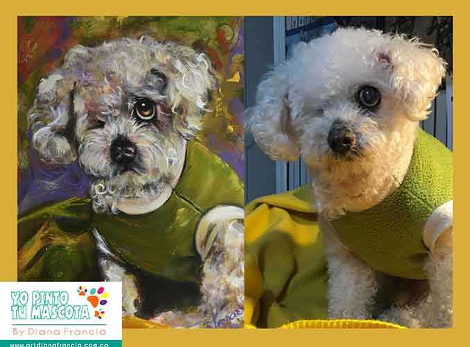 Retratos de mascotas por Diana Francia