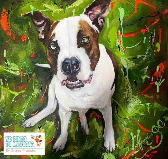 custom pet portraits By Diana Francia 3
