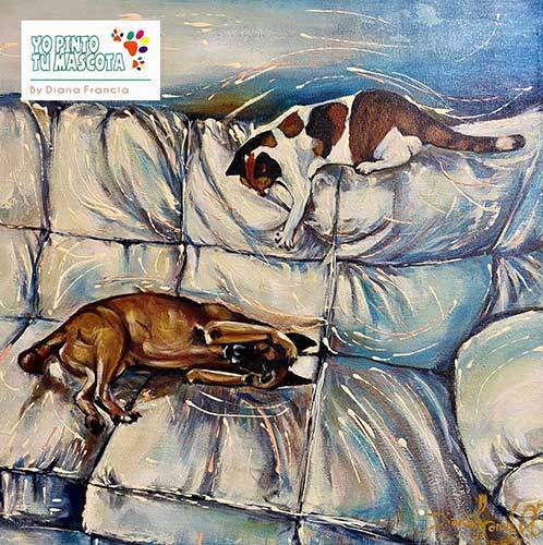 Retratos de mascotas gatos y perros por Diana Francia azul