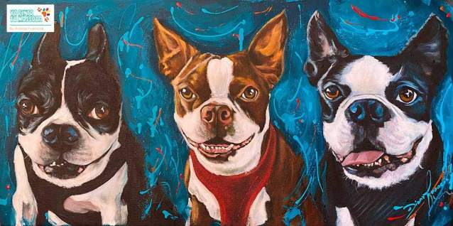 Retratos de mascotas bogota cuadros de mascotas