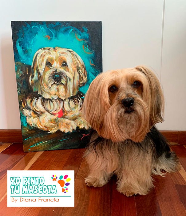 Retratos de Perros - Por Diana Francia - Yo Pinto tu Mascota