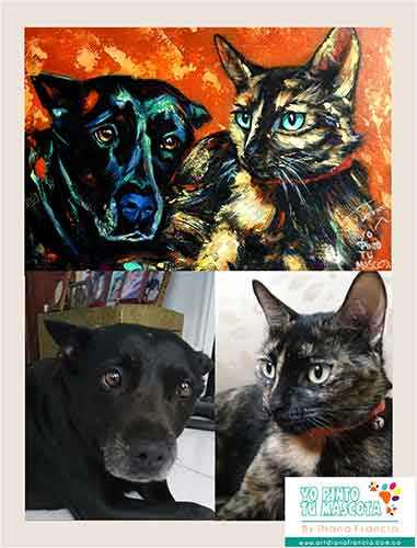 Retratos de mascotas por Diana Francia perros y gatos