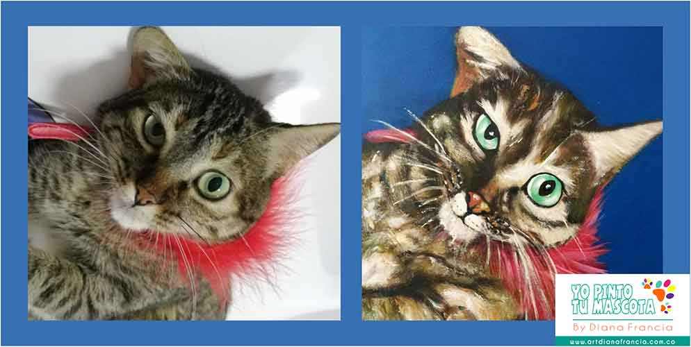 Retratos de mascotas y gatos por Diana Francia