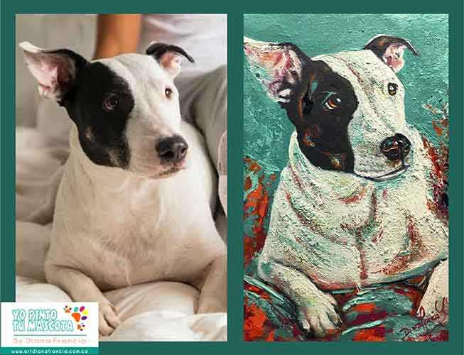 Retratos de mascotas personalizados